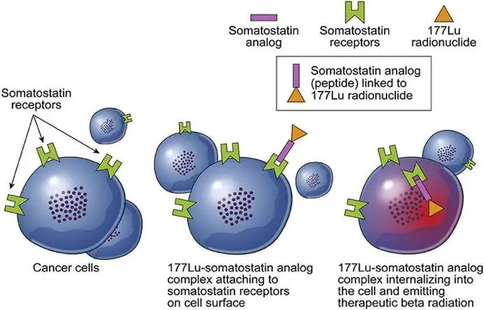 f817d823bbccbf864fd248ae8ae0a966.jpg f817d823bbccbf864fd248ae8ae0a966.jpg